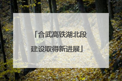 合武高铁湖北段建设取得新进展