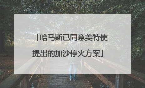 哈马斯已同意美特使提出的加沙停火方案
