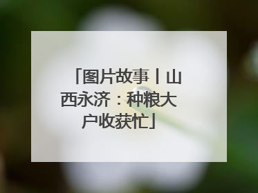 图片故事丨山西永济：种粮大户收获忙