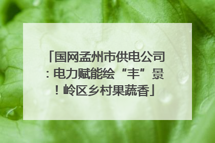 国网孟州市供电公司：电力赋能绘“丰”景！岭区乡村果蔬香