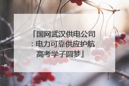 国网武汉供电公司：电力可靠供应护航高考学子圆梦
