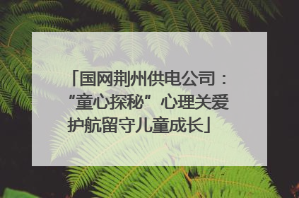 国网荆州供电公司：“童心探秘”心理关爱护航留守儿童成长