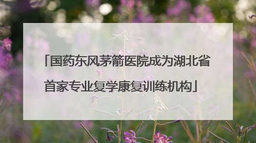 国药东风茅箭医院成为湖北省首家专业复学康复训练机构