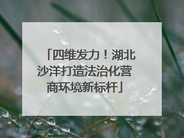 四维发力！湖北沙洋打造法治化营商环境新标杆