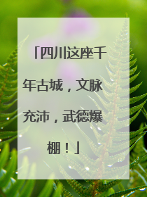 四川这座千年古城，文脉充沛，武德爆棚！
