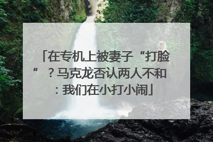 在专机上被妻子“打脸”？马克龙否认两人不和：我们在小打小闹