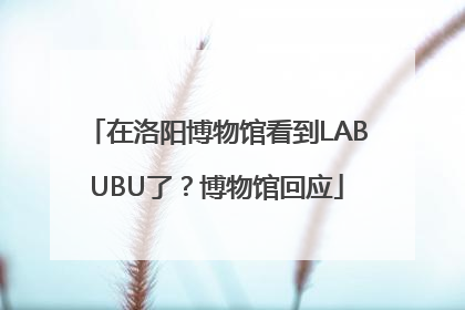 在洛阳博物馆看到LABUBU了？博物馆回应