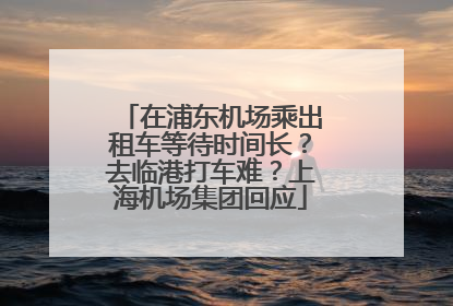 在浦东机场乘出租车等待时间长？去临港打车难？上海机场集团回应