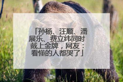 孙杨、汪顺、潘展乐、费立纬同时戴上金牌，网友：看懂的人都哭了