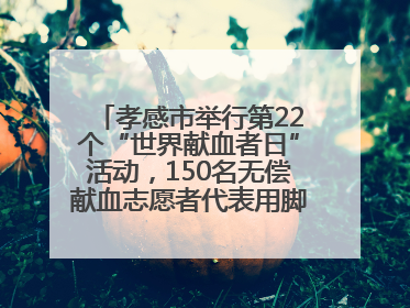 孝感市举行第22个“世界献血者日”活动，150名无偿献血志愿者代表用脚步丈量“中华孝爱第一山”