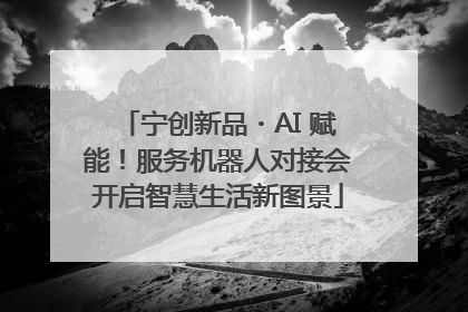 宁创新品・AI 赋能！服务机器人对接会开启智慧生活新图景