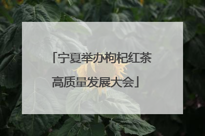 宁夏举办枸杞红茶高质量发展大会