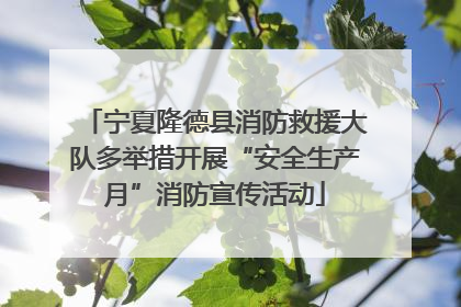 宁夏隆德县消防救援大队多举措开展“安全生产月”消防宣传活动