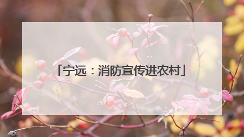 宁远：消防宣传进农村