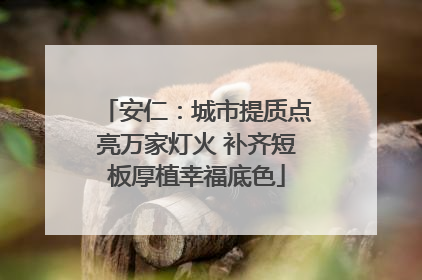 安仁：城市提质点亮万家灯火 补齐短板厚植幸福底色