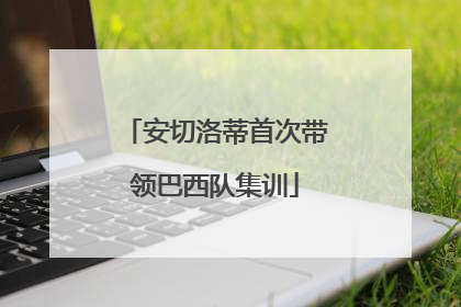 安切洛蒂首次带领巴西队集训