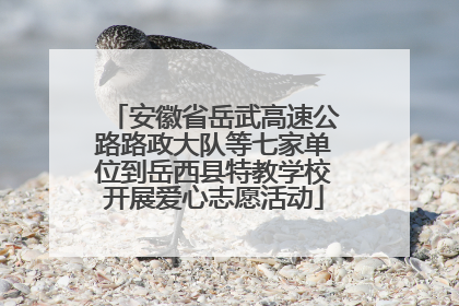 安徽省岳武高速公路路政大队等七家单位到岳西县特教学校开展爱心志愿活动