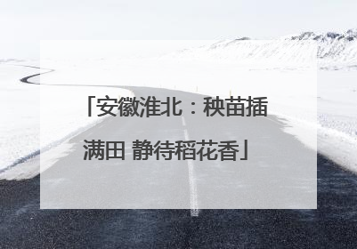 安徽淮北：秧苗插满田 静待稻花香