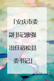 安庆市委副书记廖强出任宿松县委书记