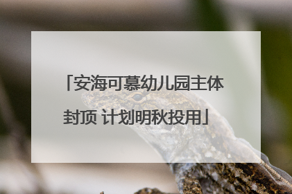 安海可慕幼儿园主体封顶 计划明秋投用