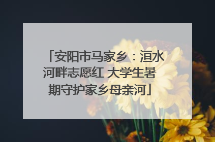 安阳市马家乡：洹水河畔志愿红 大学生暑期守护家乡母亲河