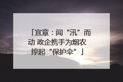 宜章：闻“汛”而动 政企携手为烟农撑起“保护伞”