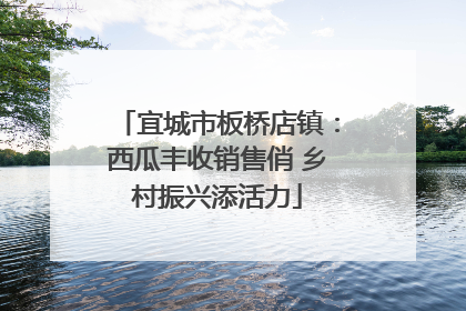 宜城市板桥店镇：西瓜丰收销售俏 乡村振兴添活力