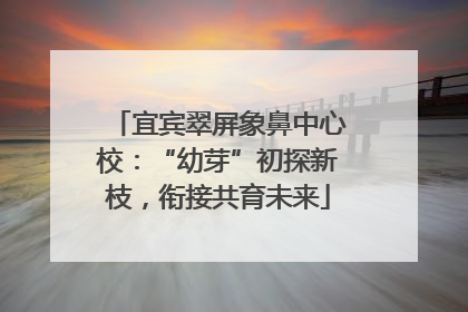 宜宾翠屏象鼻中心校:“幼芽”初探新枝,衔接共育未来