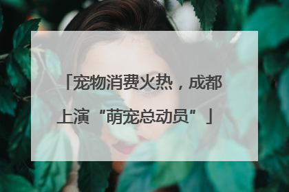 宠物消费火热，成都上演“萌宠总动员”