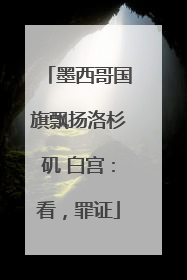 墨西哥国旗飘扬洛杉矶 白宫：看，罪证