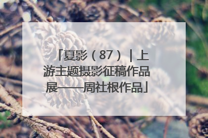 夏影（87）｜上游主题摄影征稿作品展——周社根作品