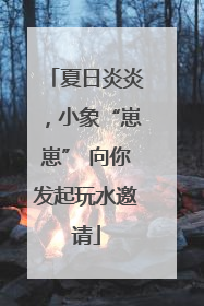 夏日炎炎，小象“崽崽” 向你发起玩水邀请