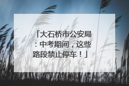 大石桥市公安局：中考期间，这些路段禁止停车！
