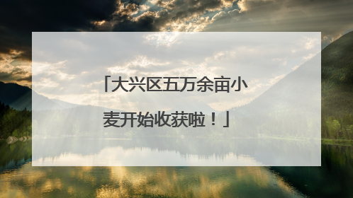 大兴区五万余亩小麦开始收获啦！