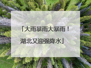 大雨暴雨大暴雨！湖北又迎强降水