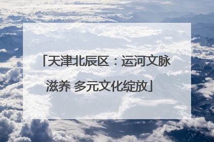 天津北辰区：运河文脉滋养 多元文化绽放