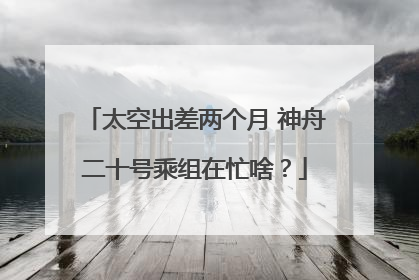 太空出差两个月 神舟二十号乘组在忙啥？
