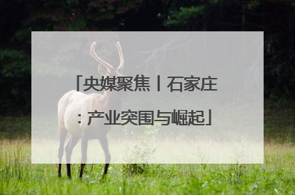 央媒聚焦丨石家庄：产业突围与崛起