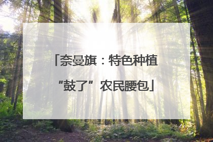 奈曼旗：特色种植“鼓了”农民腰包