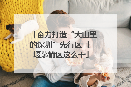 奋力打造“大山里的深圳”先行区 十堰茅箭区这么干