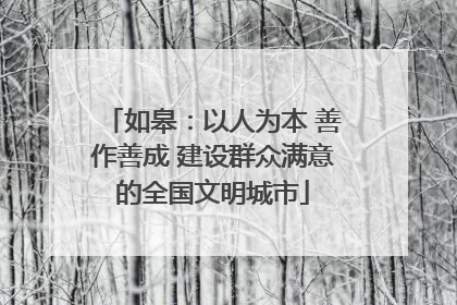 如皋：以人为本 善作善成 建设群众满意的全国文明城市