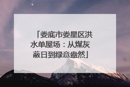 娄底市娄星区洪水单屋场：从煤灰蔽日到绿意盎然