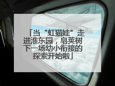 当“虹猫娃”走进淮东园，皂荚树下一场幼小衔接的探索开始啦