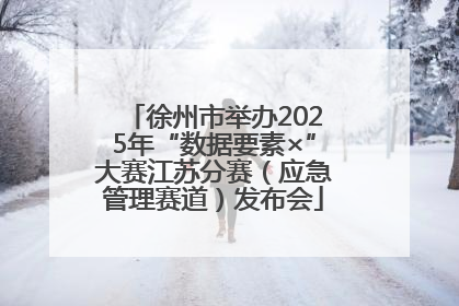 徐州市举办2025年“数据要素×”大赛江苏分赛（应急管理赛道）发布会