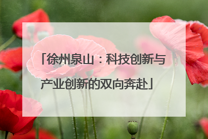 徐州泉山：科技创新与产业创新的双向奔赴