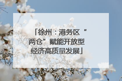 徐州：港务区“两仓”赋能开放型经济高质量发展