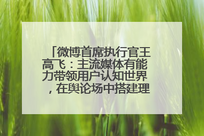 微博首席执行官王高飞：主流媒体有能力带领用户认知世界，在舆论场中搭建理性的讨论空间