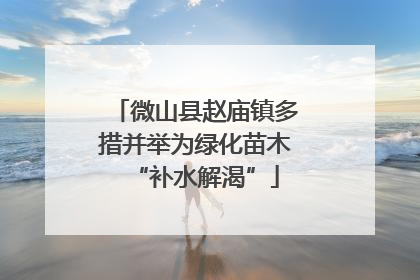 微山县赵庙镇多措并举为绿化苗木“补水解渴”