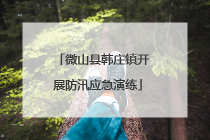 微山县韩庄镇开展防汛应急演练