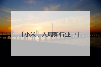 小米，入局新行业→